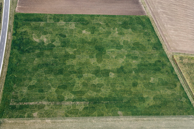 Illustration for article titled The Odd and Mesmerizing Aerial Photos of Klaus Leidorf